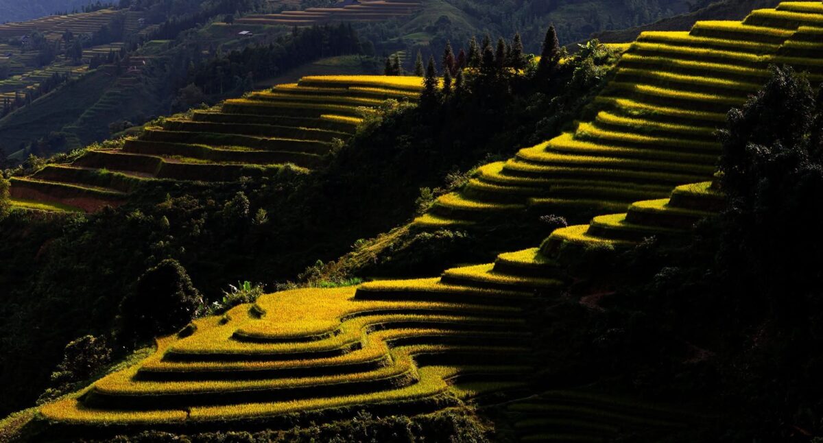 Sapa Motorbike Tours Half Day Led By Women