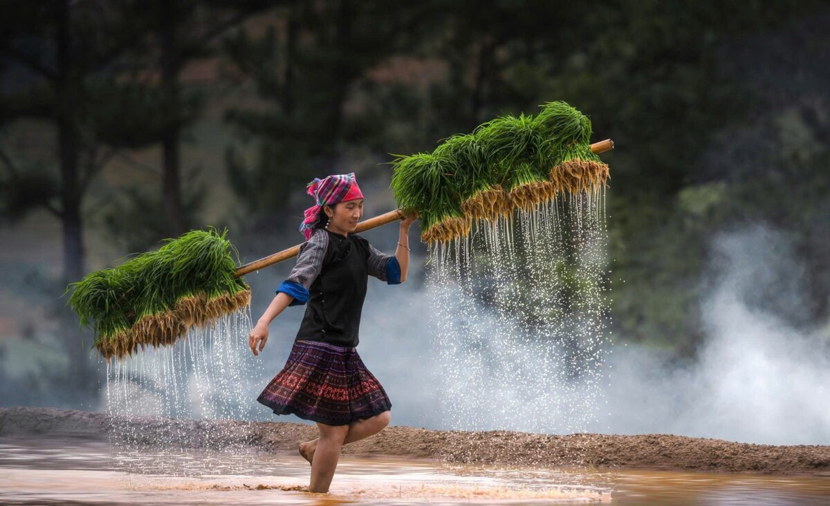 Sapa Motorbike Tours Half Day Led By Women