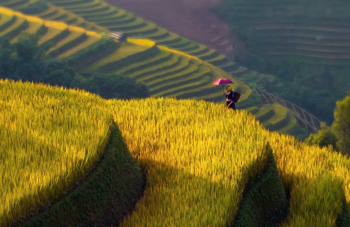 Sapa Motorbike Tours Half Day Led By Women