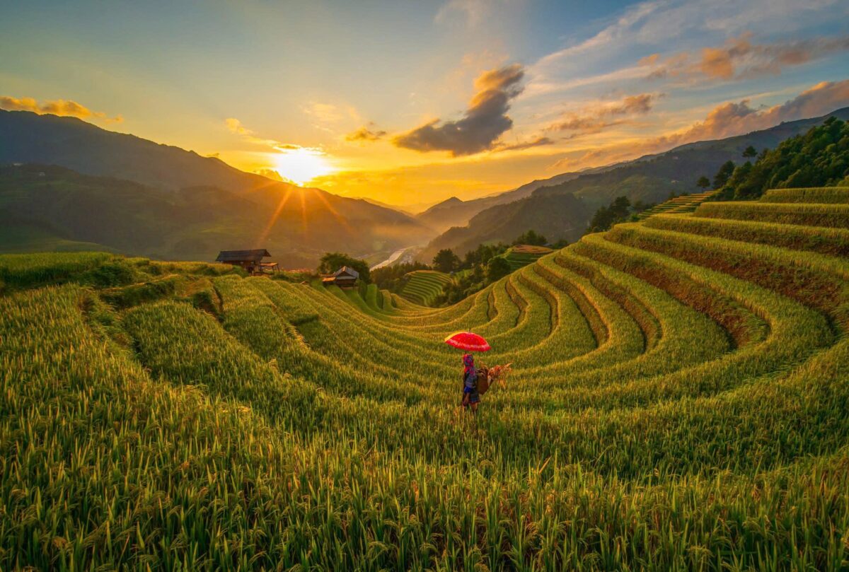 Sapa Motorbike Tours Half Day Led By Women