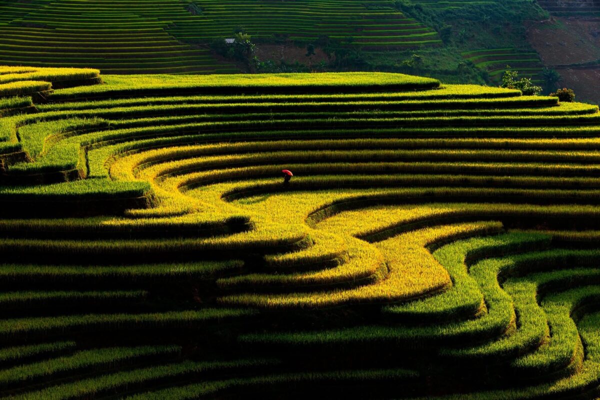 Sapa Motorbike Tours Half Day Led By Women