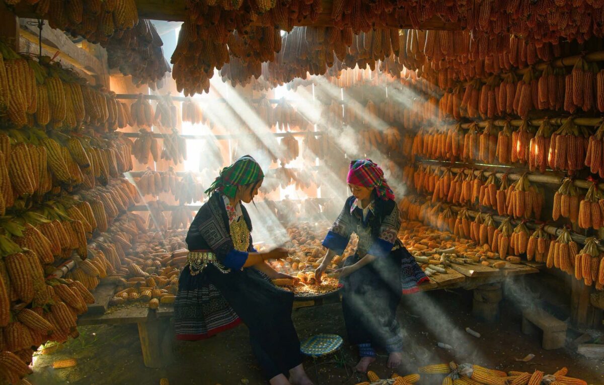 Sapa Motorbike Tours Half Day Led By Women