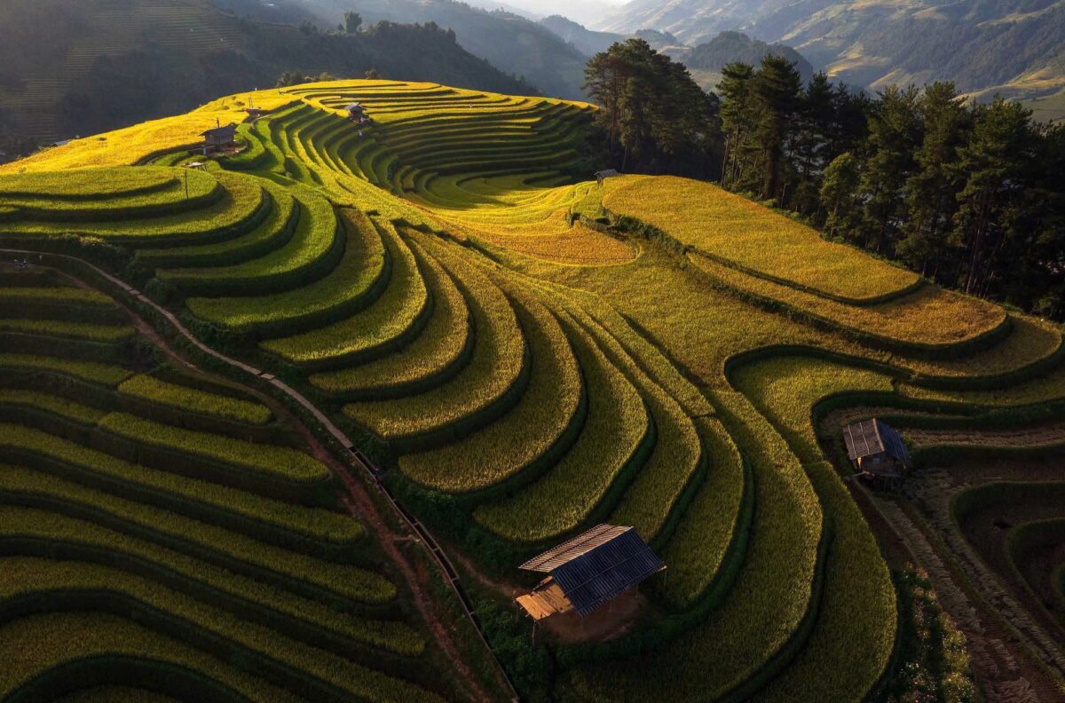 Sapa Motorbike Tours Half Day Led By Women