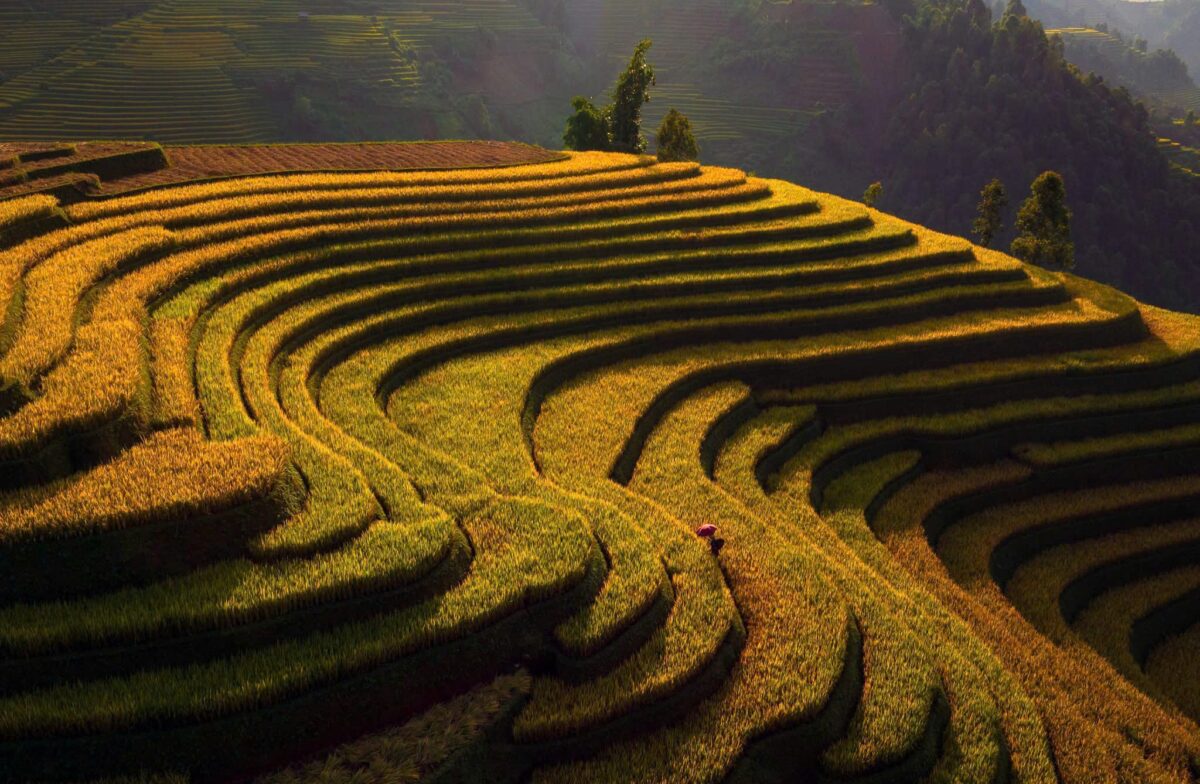 Sapa Motorbike Tours Half Day Led By Women