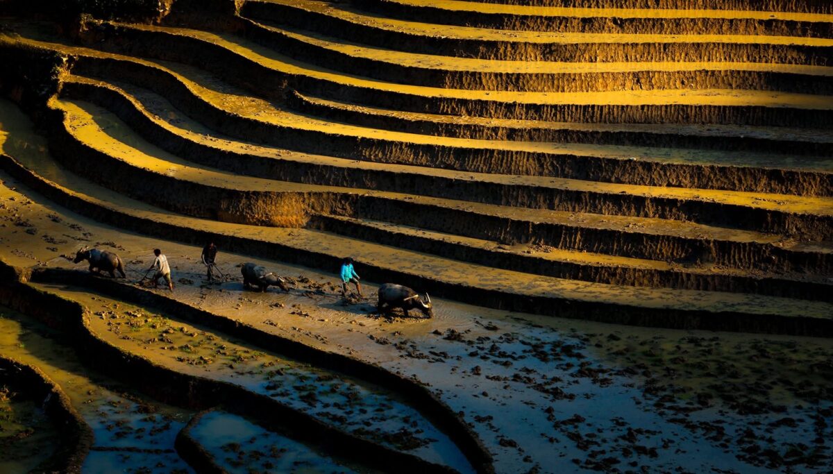 Sapa Motorbike Tours Half Day Led By Women