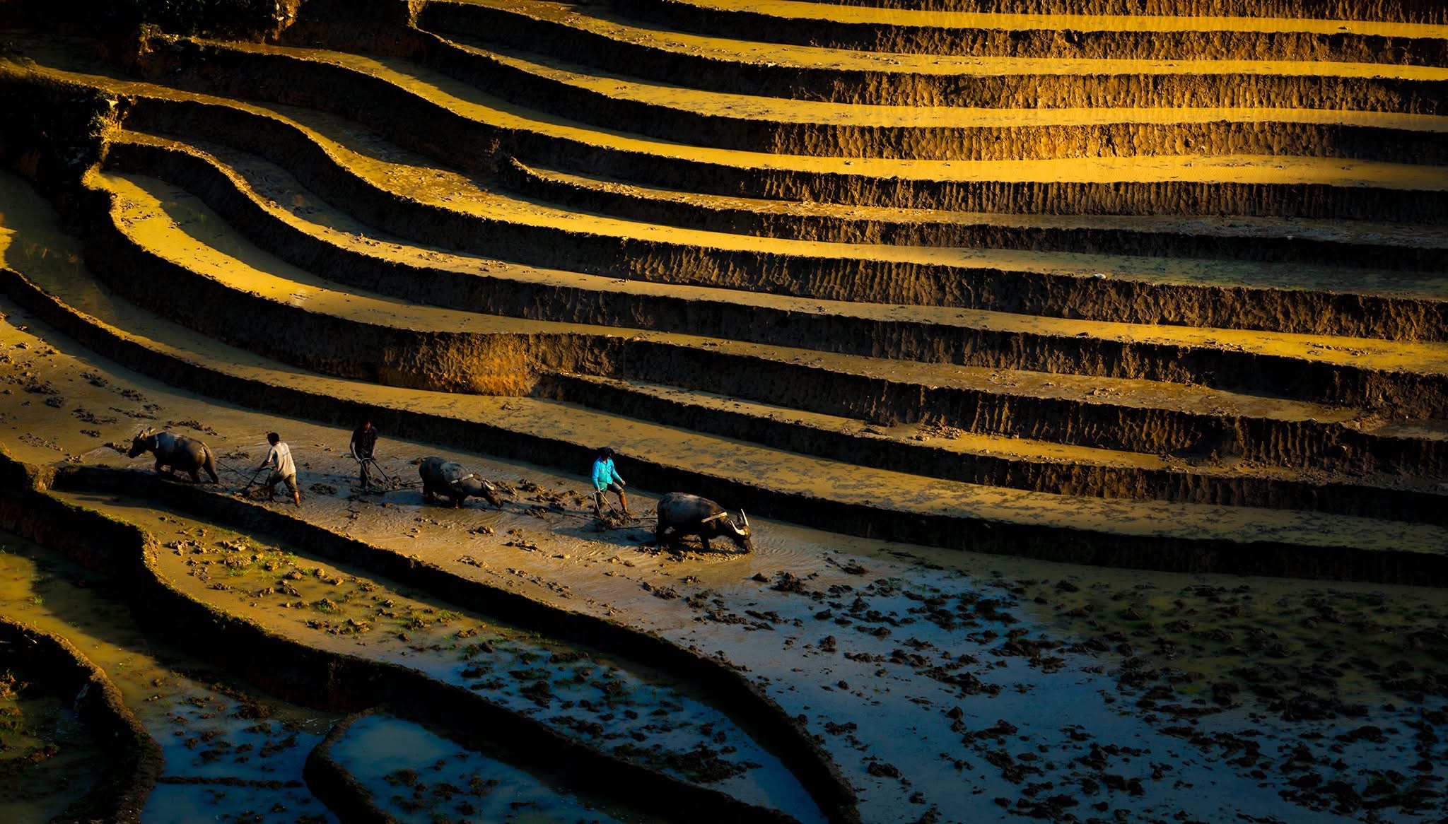Sapa Motorbike Tours Half Day Led By Women