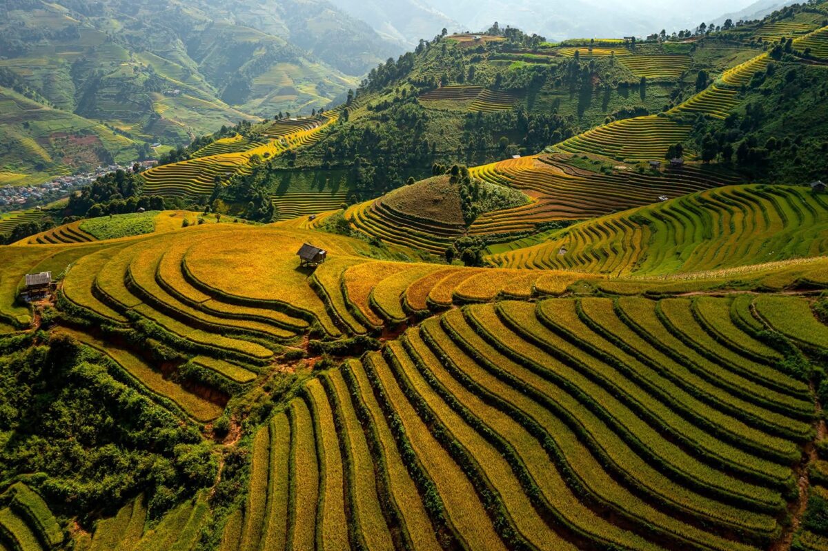 Sapa Motorbike Tours Half Day Led By Women