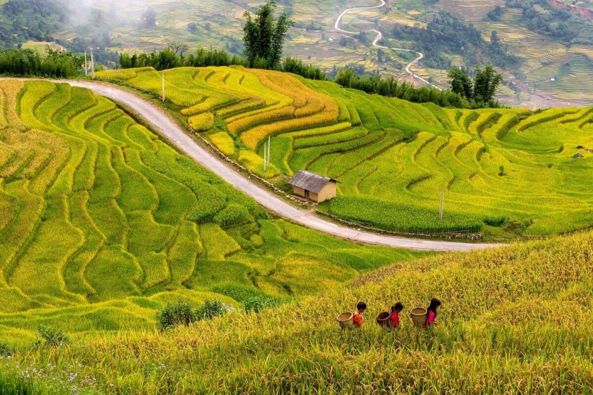Sapa Motorbike Tours Half Day Led By Women