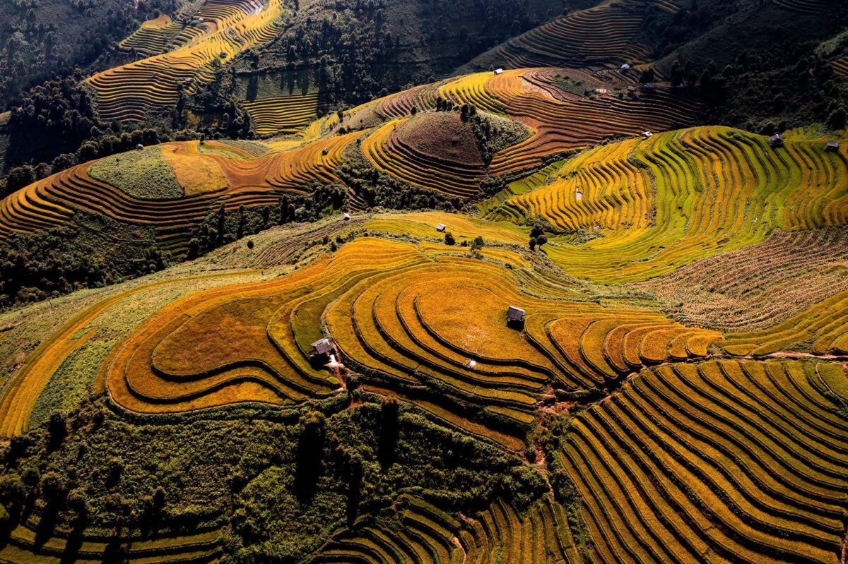 Sapa Motorbike Tours Half Day Led By Women