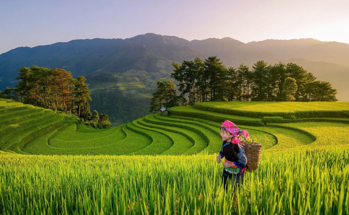 Sapa Motorbike Tours Half Day Led By Women