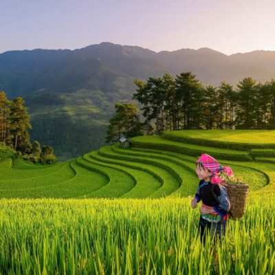 Sapa Motorbike Tours Half Day Led By Women
