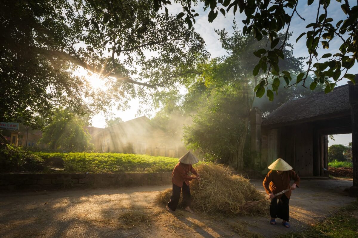 Hanoi Private Half Day Tour | Quang Phu Cau & Chuong Village Led By Women Hanoi Private Half Day Tour | Quang Phu Cau & Chuong Village Led By Women