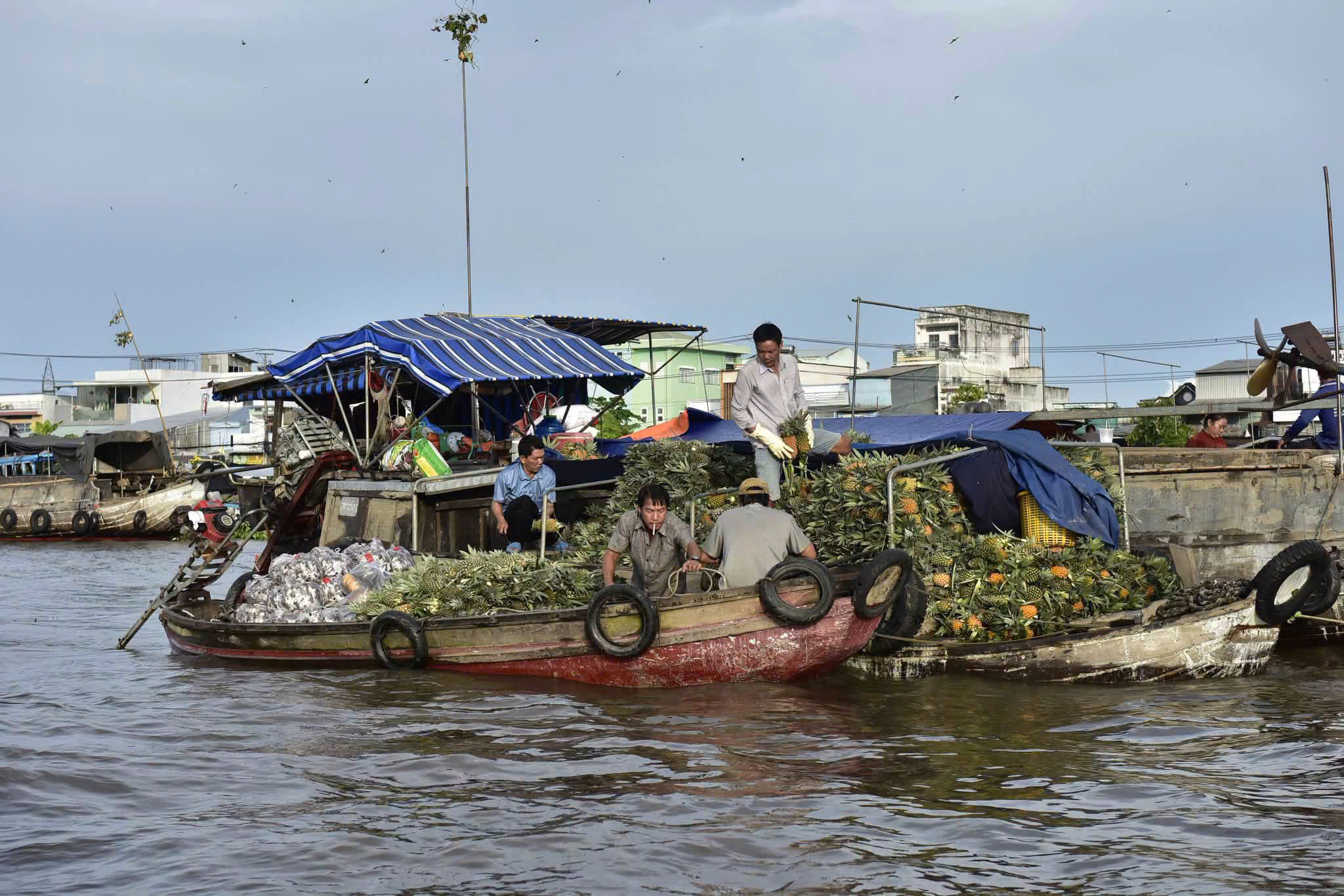 Southern Vietnam Travel Guide: Ho Chi Minh City, Mekong Delta & Phu Quoc Southern Vietnam Travel Guide: Ho Chi Minh City, Mekong Delta & Phu Quoc